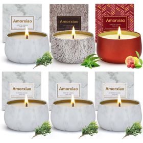 6Packs Scented Candles Gift Set Soy Candle Long Lasting Aromatherapy Candle - Guava & Lychee, Juniper, Eucalyptus Mint, 7 oz