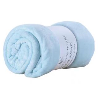 Coral Velvet Leg Nap Pet Blanket (Option: Cyan-70cmx 100cm)