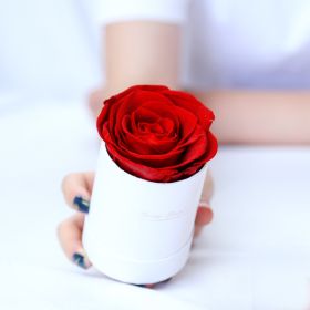 Thanksgiving Day Gift For Mother Flower Pot 1 A- A Rose Production Upgrade Small Size Gift Box (Option: White Red Flower)